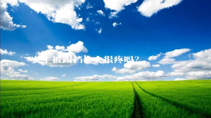 女生被踢裆也会很疼吗？