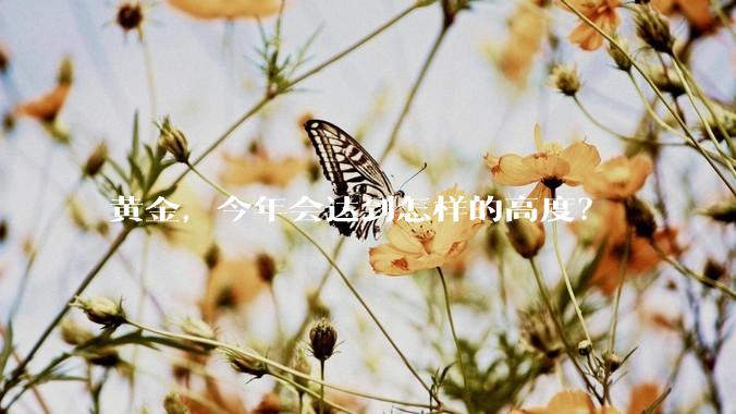 黄金，今年会达到怎样的高度？
